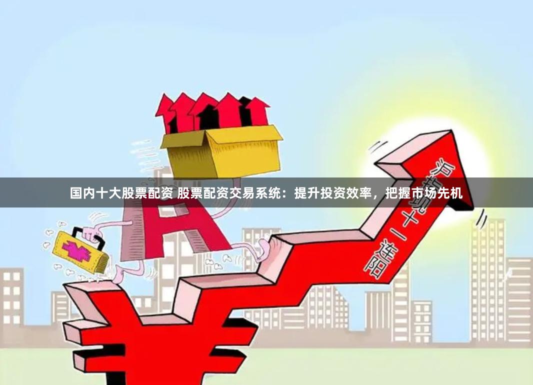 国内十大股票配资 股票配资交易系统：提升投资效率，把握市场先机