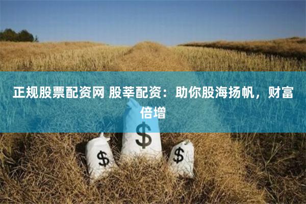 正规股票配资网 股莘配资:助你股海扬帆,财富倍增