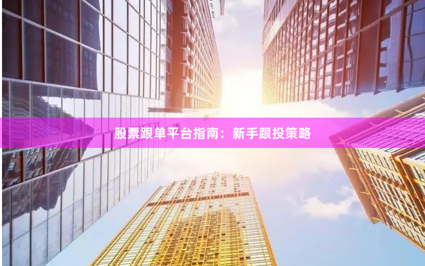 股票跟单平台指南：新手跟投策略