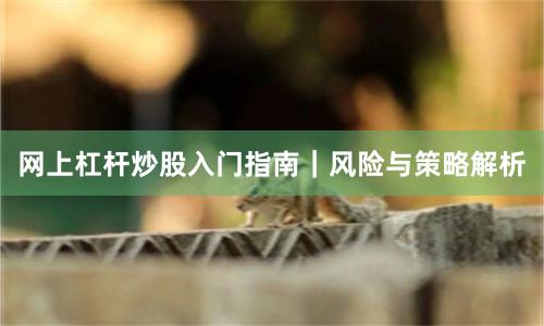网上杠杆炒股入门指南｜风险与策略解析