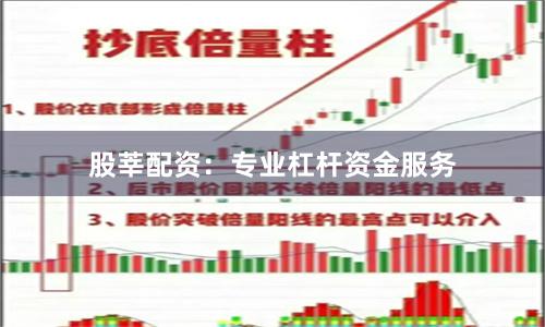 股莘配资：专业杠杆资金服务