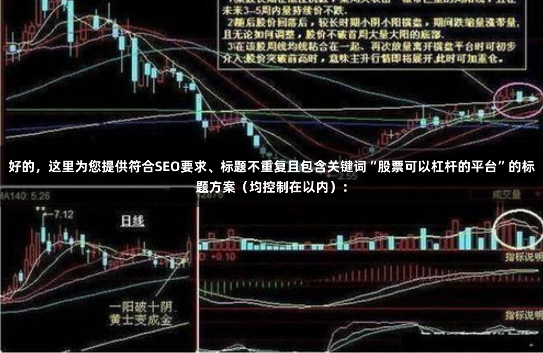 好的，这里为您提供符合SEO要求、标题不重复且包含关键词“股票可以杠杆的平台”的标题方案（均控制在以内）：